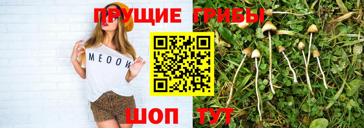 Псилоцибиновые грибы мухоморы Родники