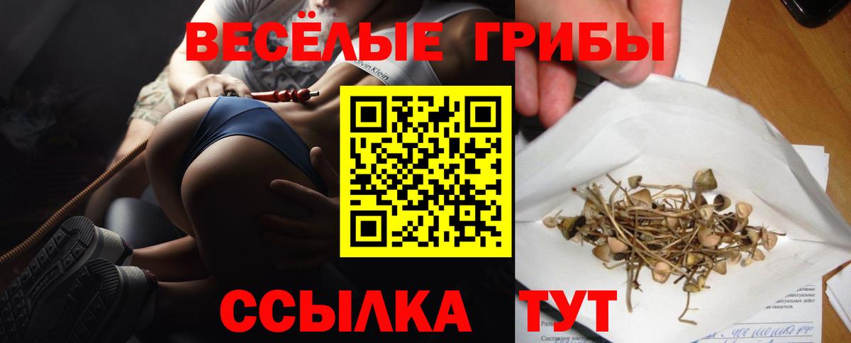 Галлюциногенные грибы Psilocybe  Галлюциногенные грибы Cubensis  Родники  Вход с VPN 